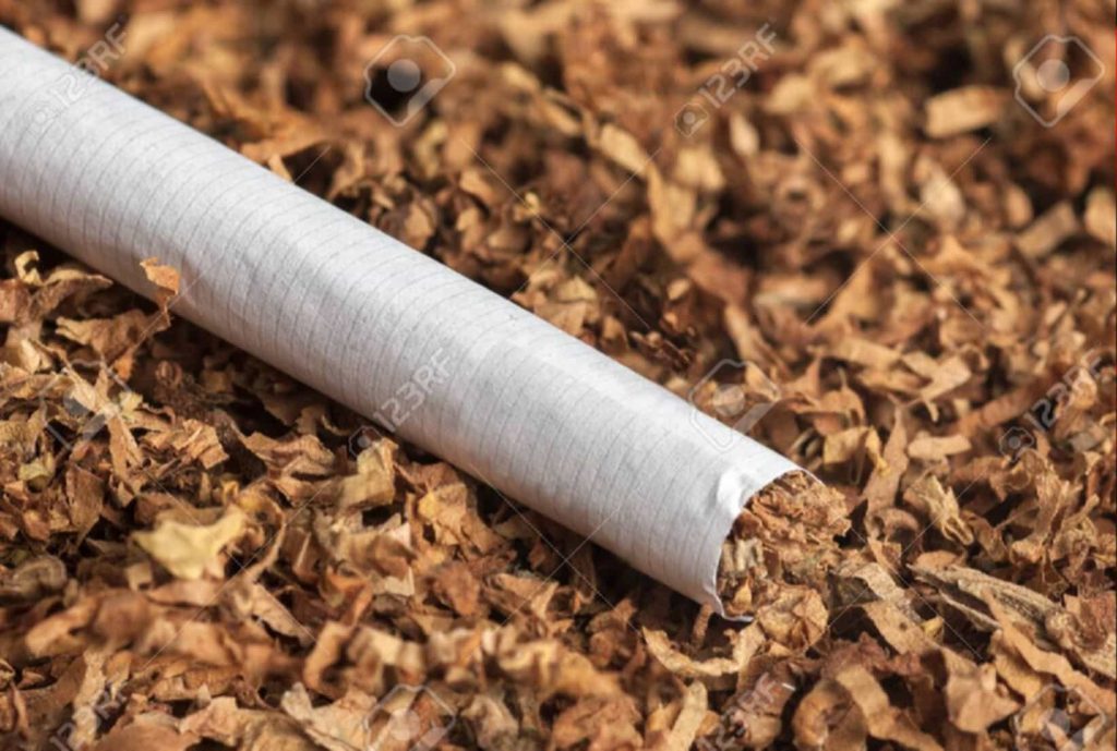 Close-up view of sheet-form tobacco